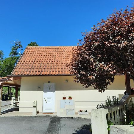 Casas Do Caminho Velho Lejlighed Ribeira de Pena Eksteriør billede