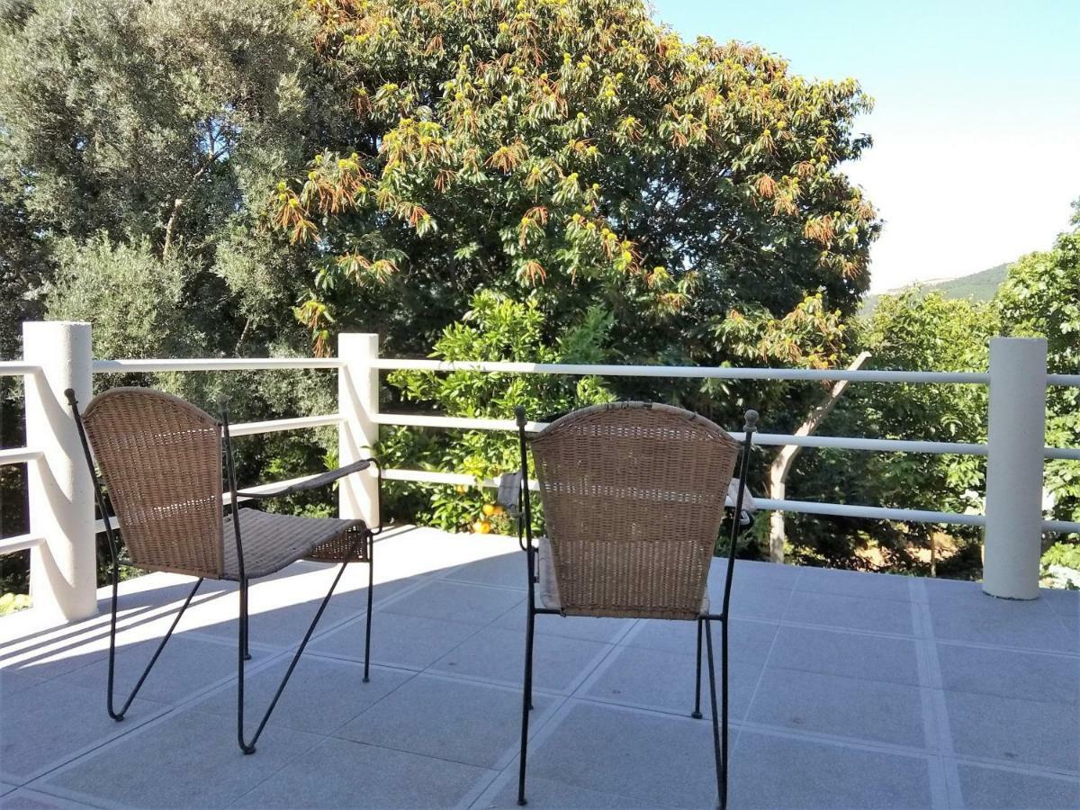 Casas Do Caminho Velho Lejlighed Ribeira de Pena Eksteriør billede