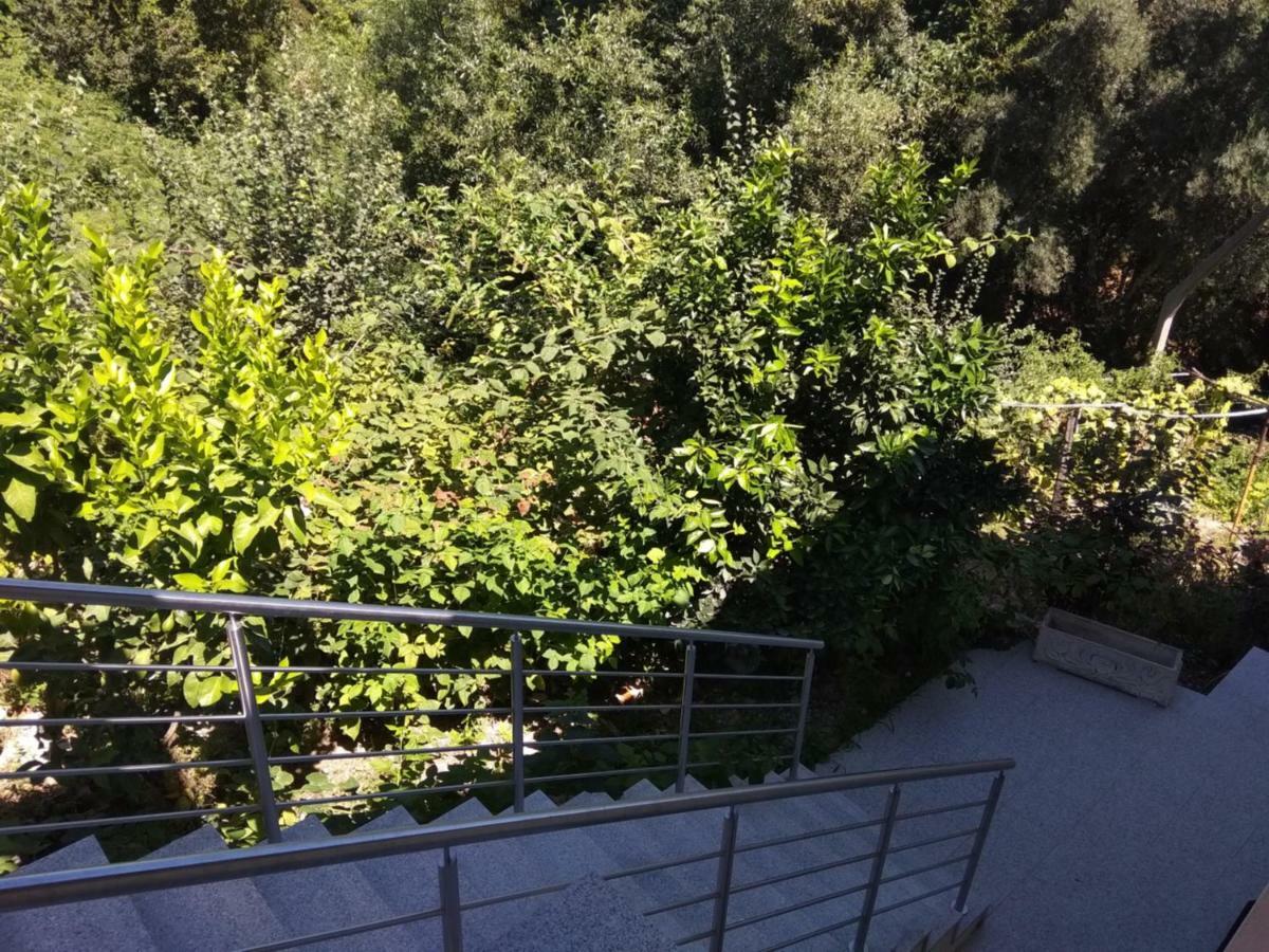 Casas Do Caminho Velho Lejlighed Ribeira de Pena Eksteriør billede